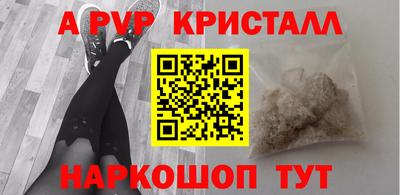 прущие грибы Будённовск