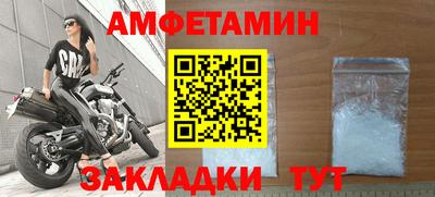прущие грибы Будённовск