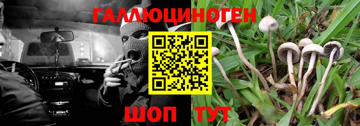 Псилоцибиновые грибы GOLDEN TEACHER Валуйки