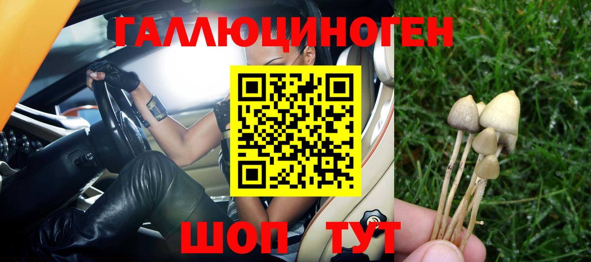 Псилоцибиновые грибы GOLDEN TEACHER  Вход с VPN  Валуйки 